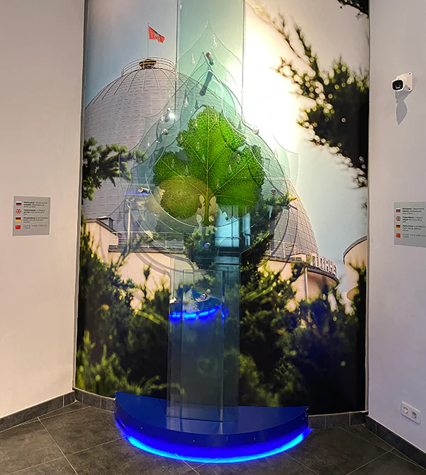 Композиция «Фотосинтез»