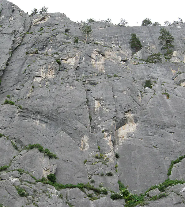 Кальций – пятый элемент