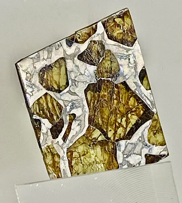 Метеоритика. Палласово железо