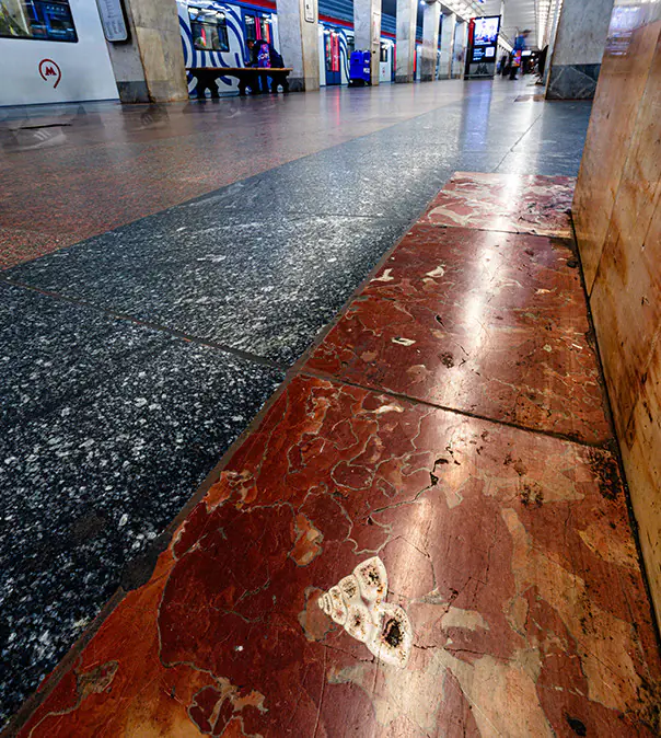 Гастроподы