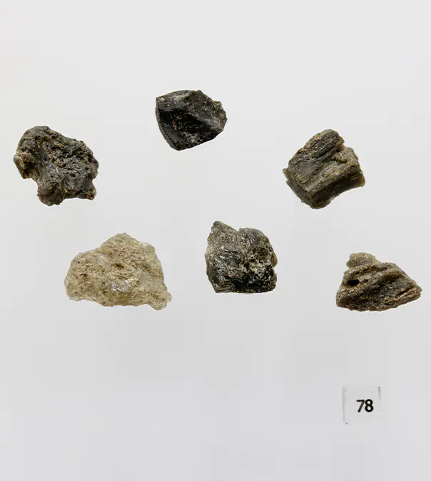 Дарвиново стекло